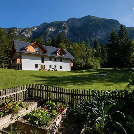 Lejlighed The Woodland Nook - One Bedroom Bohinj